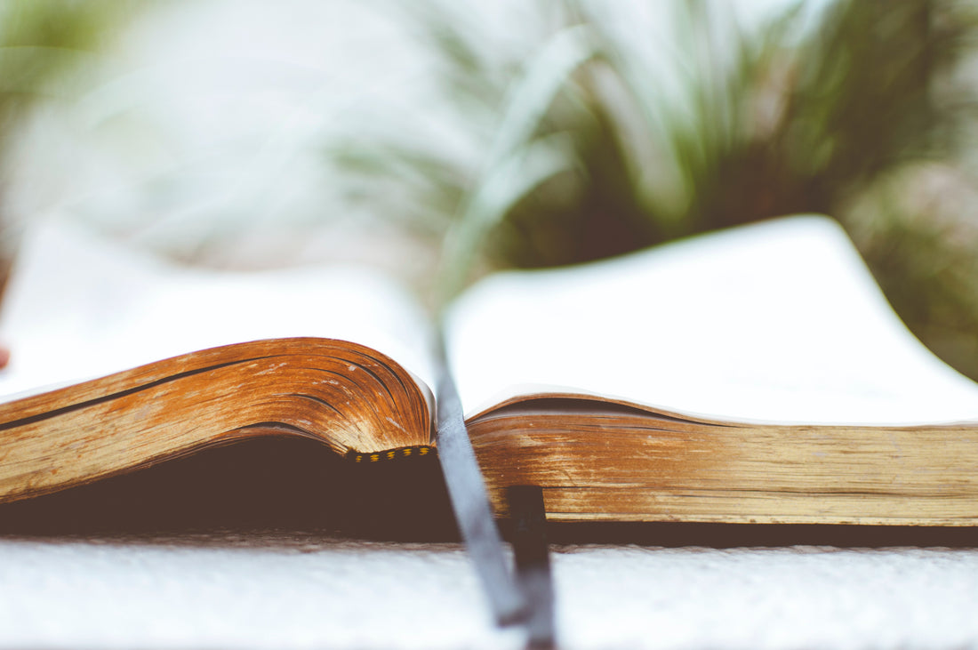 Christians Spend Too Much Time Studying The Bible