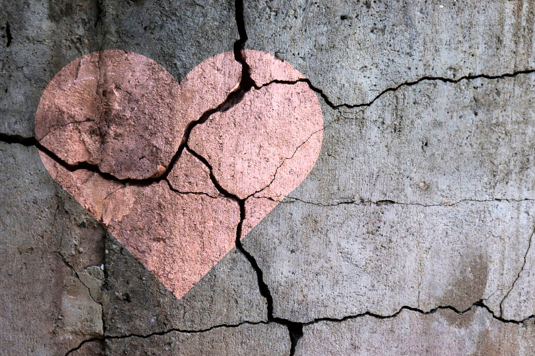 WHAT TO DO WHEN YOUR CHILD BREAKS YOUR HEART